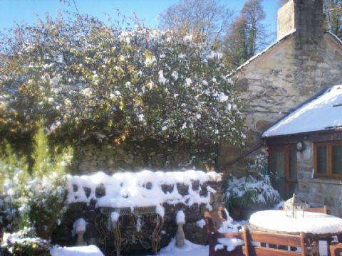 <b><i>Mulled Wine Please!</b><i> (Nov 2010)