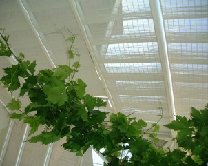 blinds for conservatory roof